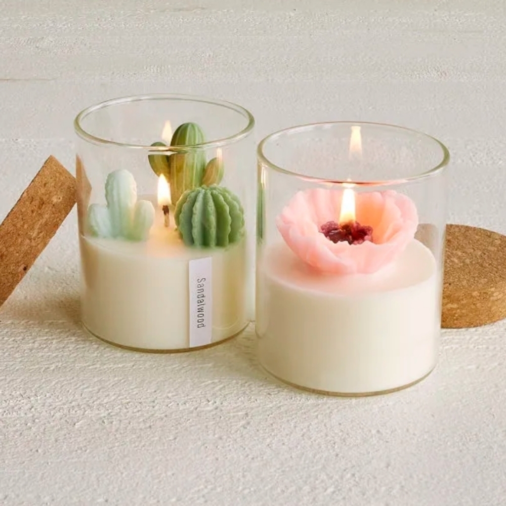 💥BUY 5 GET 3 FREE  Terrarium Candle CACTUS, Originally $27.00 - Picture 6 of 9